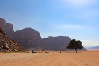 245 – Wadi Rum