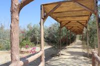 280 – Taufstelle Jesu