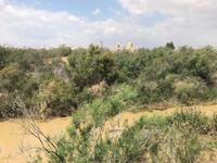 Jordanien - Baptism Site 