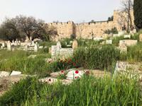 Jerusalem - Muslimischer Friedhof