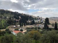 Jerusalem - Blick zur Kirche aller Nationen