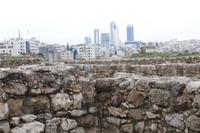 Blick auf Neustadt von Amman