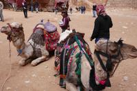 Transportmittel in Petra