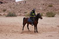 Polizei in Petra