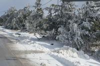 Winterlandschaft in den Höhen von Petra