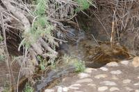 Taufquelle am Jordan