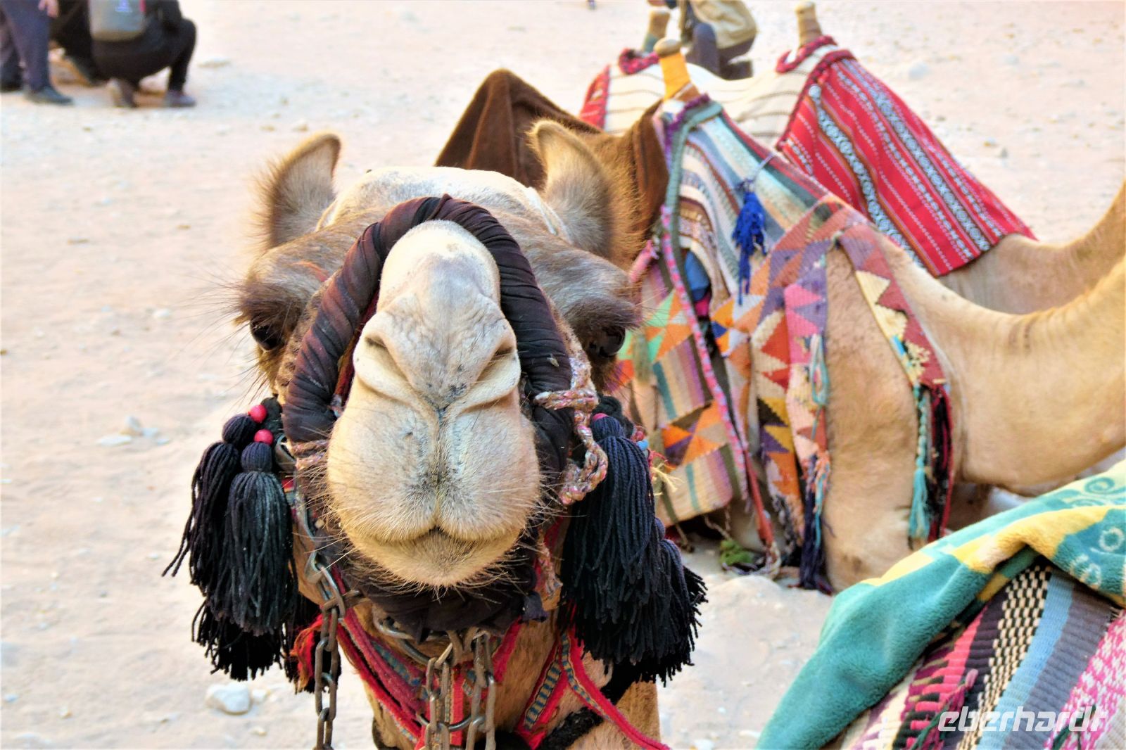 können diese Augen lügen?