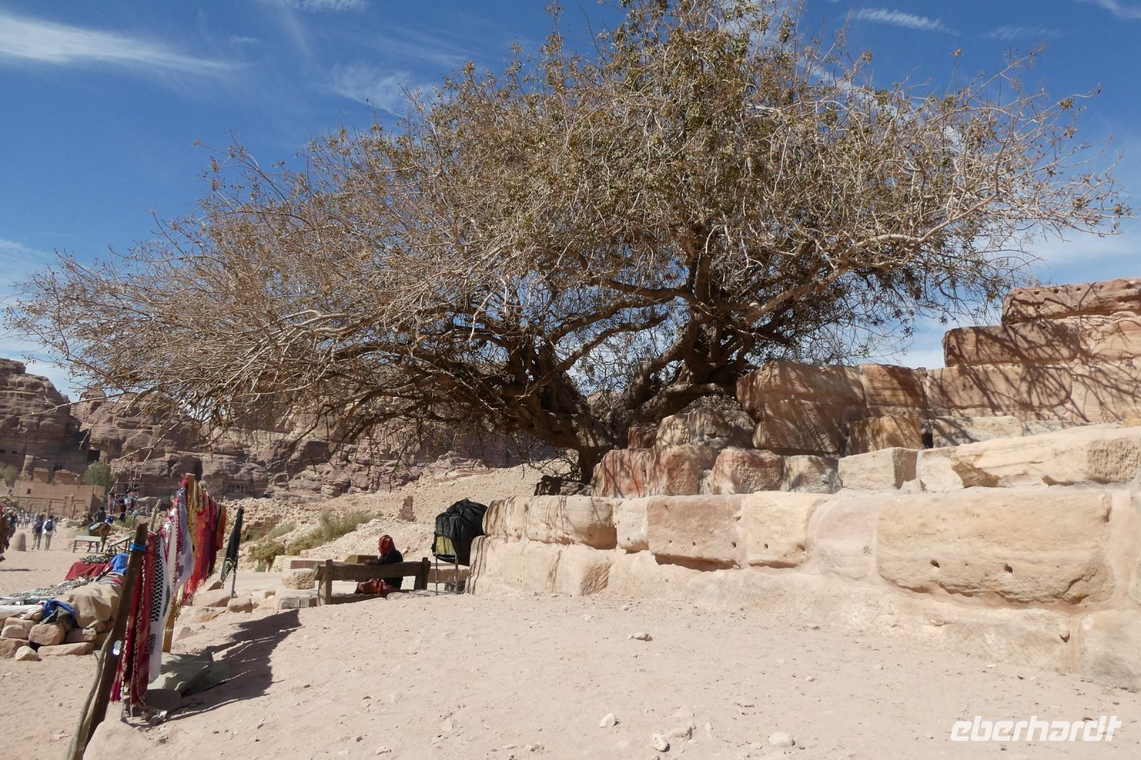 ein Baum am Wegesrand