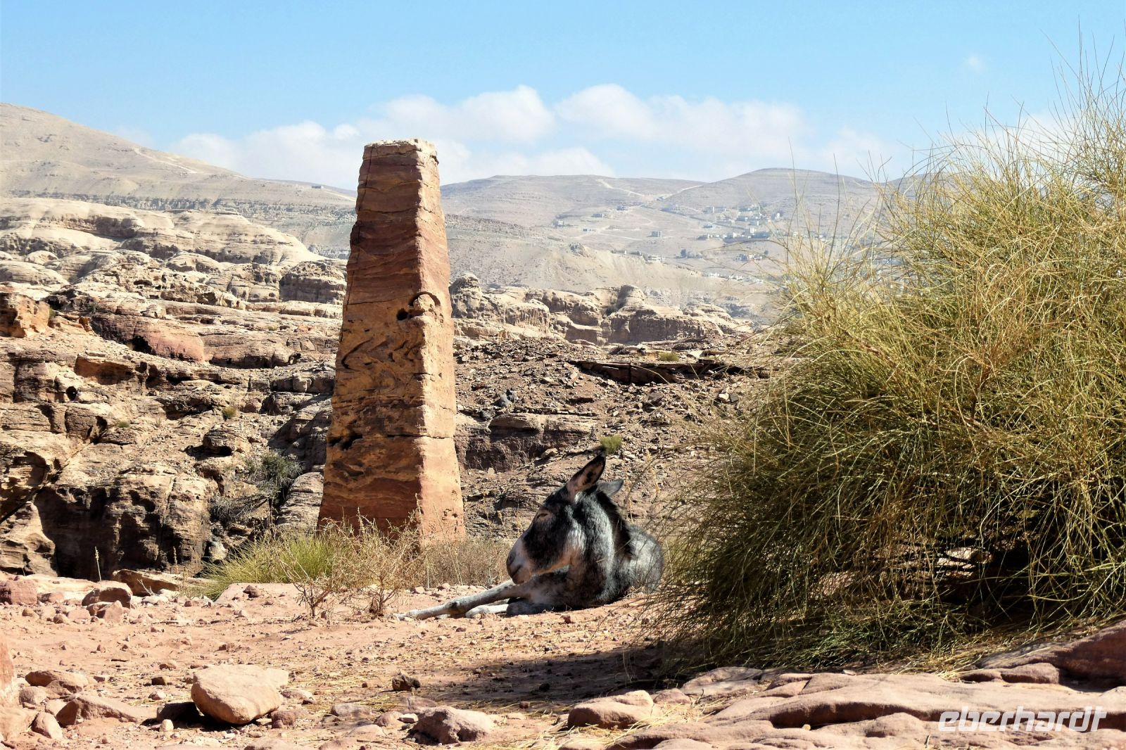 am Obelisken mit Gesellschaft