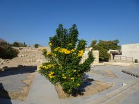 Jordanien - Amman - Zitadelle 