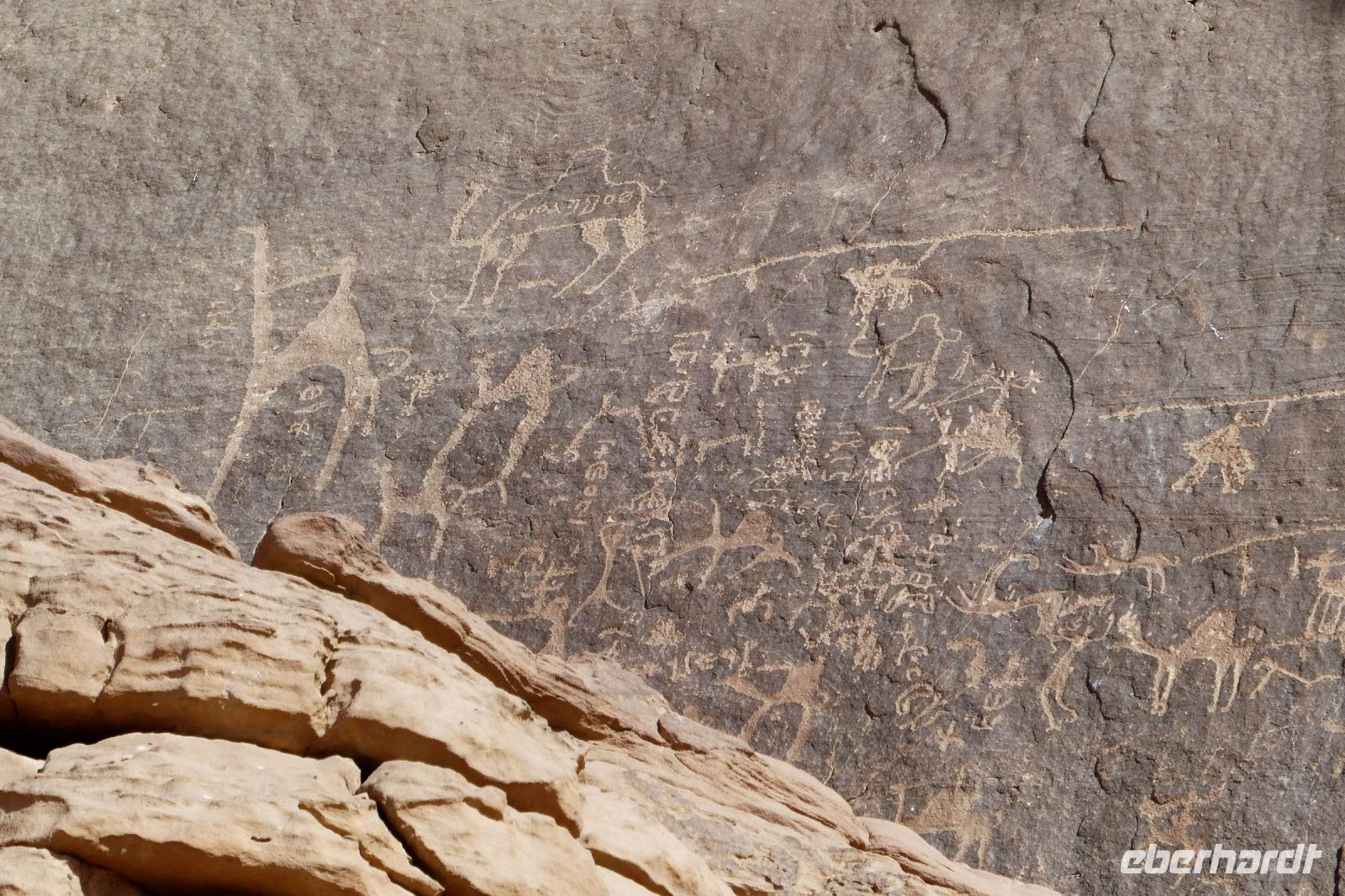 Felsbilder in der Wüste (Kamelzeit)