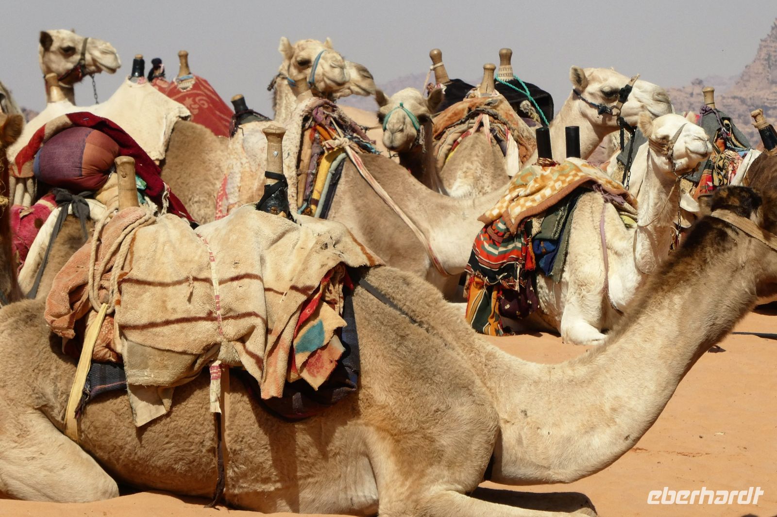 Warten auf Kundschaft!