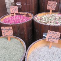 IMG_4867 - Kopie.JPG