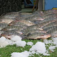 IMG_4868 - Kopie.JPG