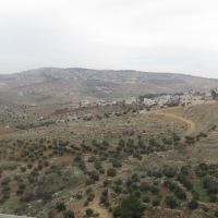 IMG_4908 - Kopie.JPG