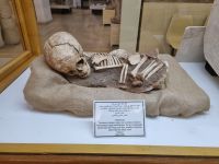 Amman - Besichtigung der Zitadelle (Archäologisches Museum)