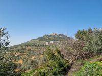 Burg Ajlun (von der Ostseite...)