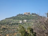 Burg Ajlun (von der Ostseite...)