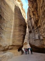 Petra - Spaziergang durch den Siq...