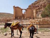Petra - 