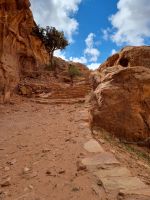 Petra - Wanderung Wadi al Farasa-Trail