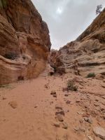 Petra - Farasa-Schlucht