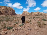 Petra - Wanderung...