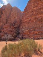 Wadi Rum - Khazali-Schlucht und die Petroglyphen