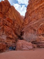 Wadi Rum - Khazali-Schlucht 