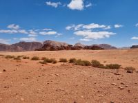 Wadi Rum
