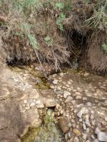 Taufstelle Jesu - Johannesquelle