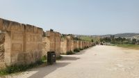 Rundreise Jordanien - antike römische Siedlung in Jerash