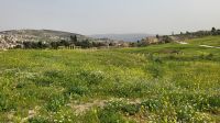 Rundreise Jordanien - antike römische Siedlung in Jerash