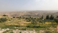 Rundreise Jordanien - Blick vom Berg Nebo