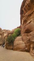 Rundreise Jordanien - Canyon in der Felsenstadt Petra