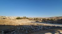 Jordanien, Jerash, 