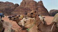 Jordanien, Wadi Rum, alle warten auf die Sonne