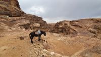 Jordanien, Wanderung nach Petra, für faule Touristen steht der Esel bereit