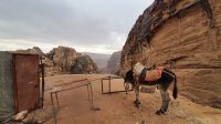 Jordanien, am Treppenweg hinunter nach Petra