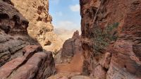 Jordanien, Petra, Aufstieg zum Hohen Opferplatz
