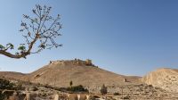 Jordanien, Shawbak, Kreuritterburg
