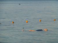 Tiefenentspannt auf dem Toten Meer, mit Schwimmbrille und einem Bonbon im Mund gegen das fies schmeckende Wasser.