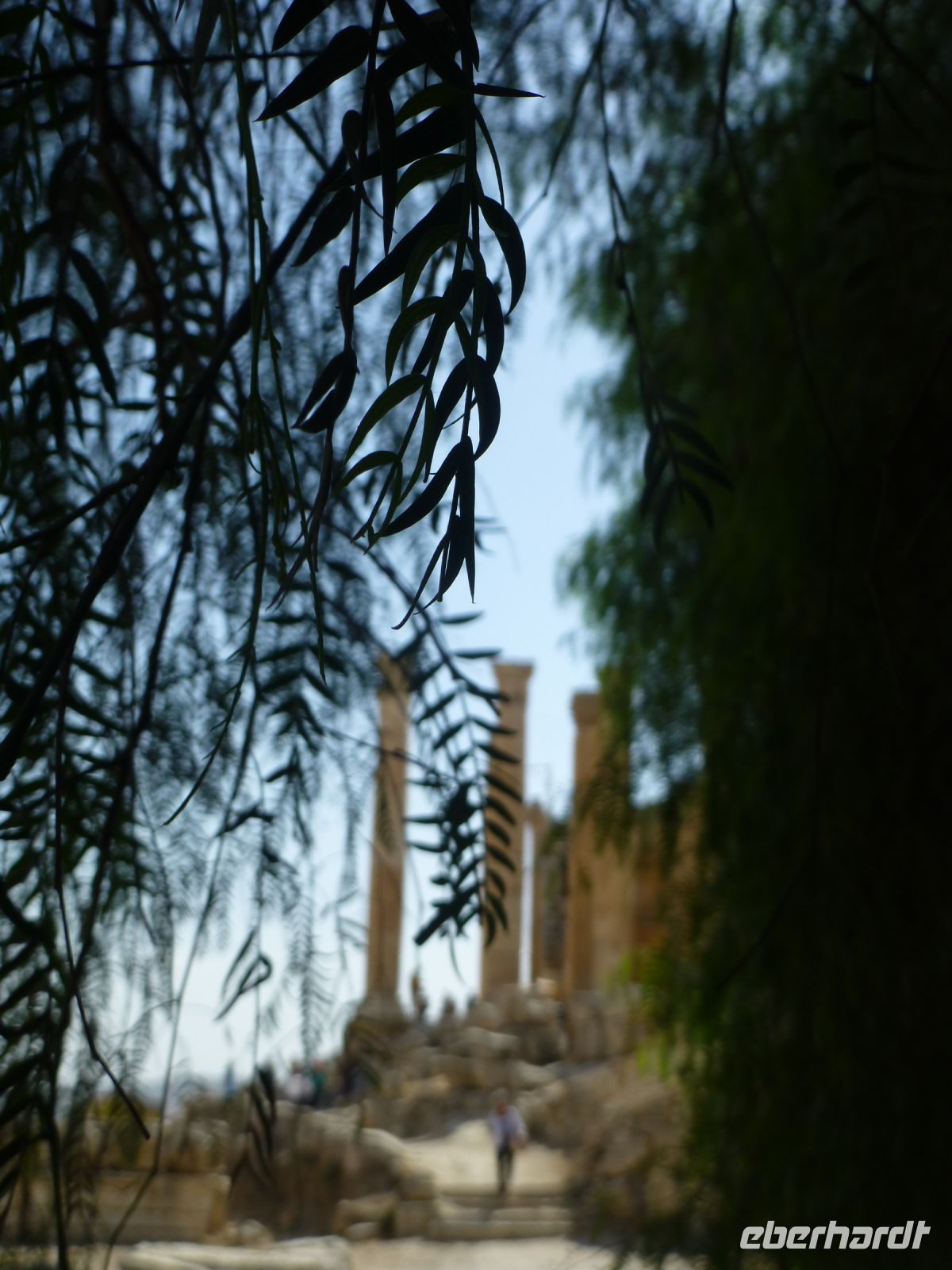 Landschaftsimpression....