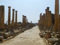 Der Cardo ist mit rechteckigen, diagonal verlegten Steinplatten gepflastert, was die Beschädigung durch Wagenräder verminderte. 