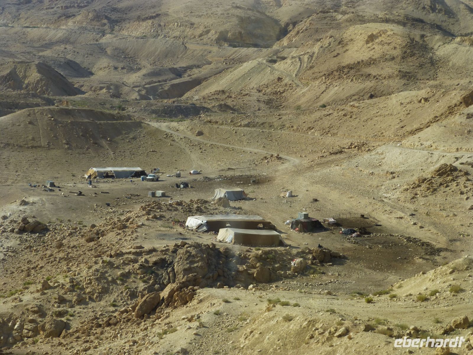 Beduinenzelte; die Schafe und Ziegen finden in der kargen Landschaft immer noch was zum Knabbern.