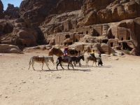 Auf der Suche nach müdegelaufenen Touristen.