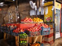 Mit Tee, Kaffee und Säften bleiben wir auf den Beinen. Die Größe Petras überrascht viele.