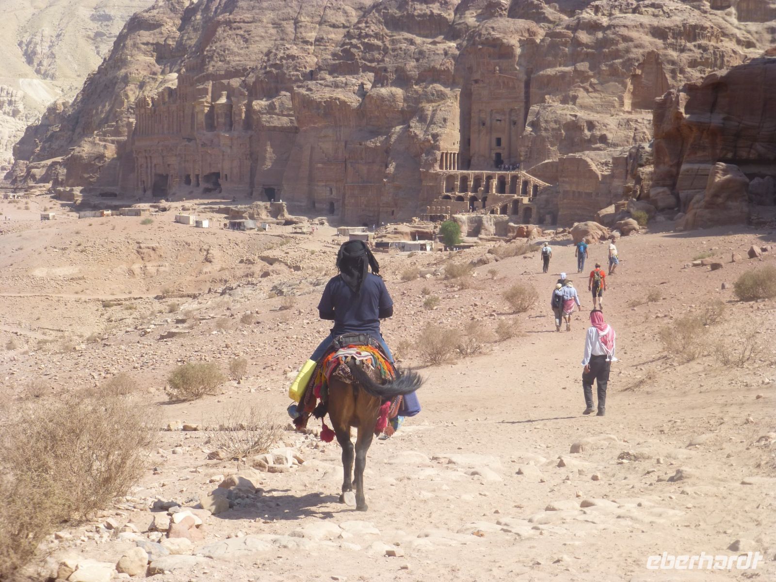 … die auf vier Beinen unterwegs sind.