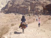 … die auf vier Beinen unterwegs sind.