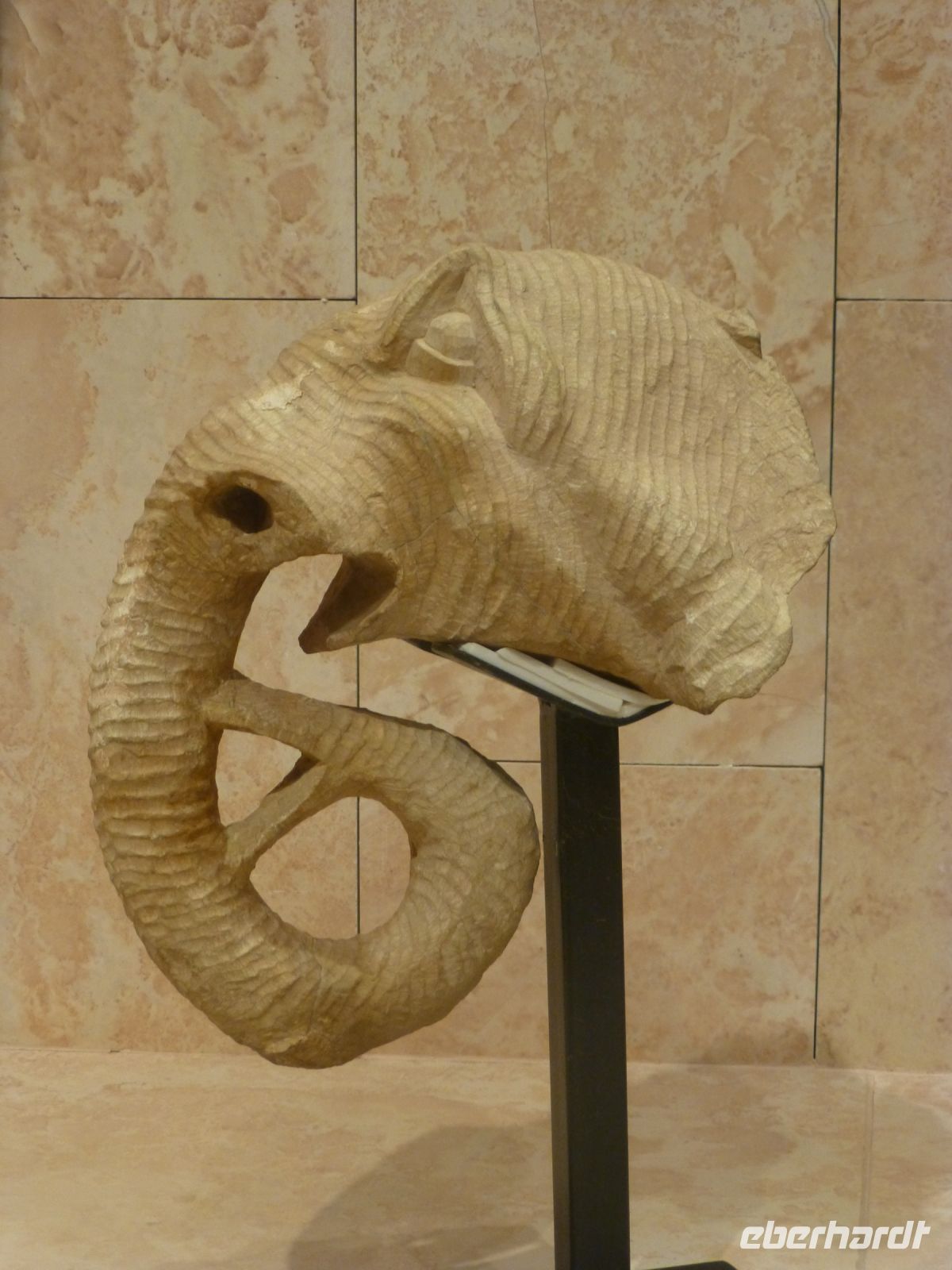 Das sehr gut gemachte Petra Museum stellt einen der Elefantenköpfe aus, die die Kapitelle des Großen Tempels geschmückt haben. Die großen Ohren sind am Kapitell zurückgeblieben.